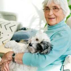 pet friendly care homes